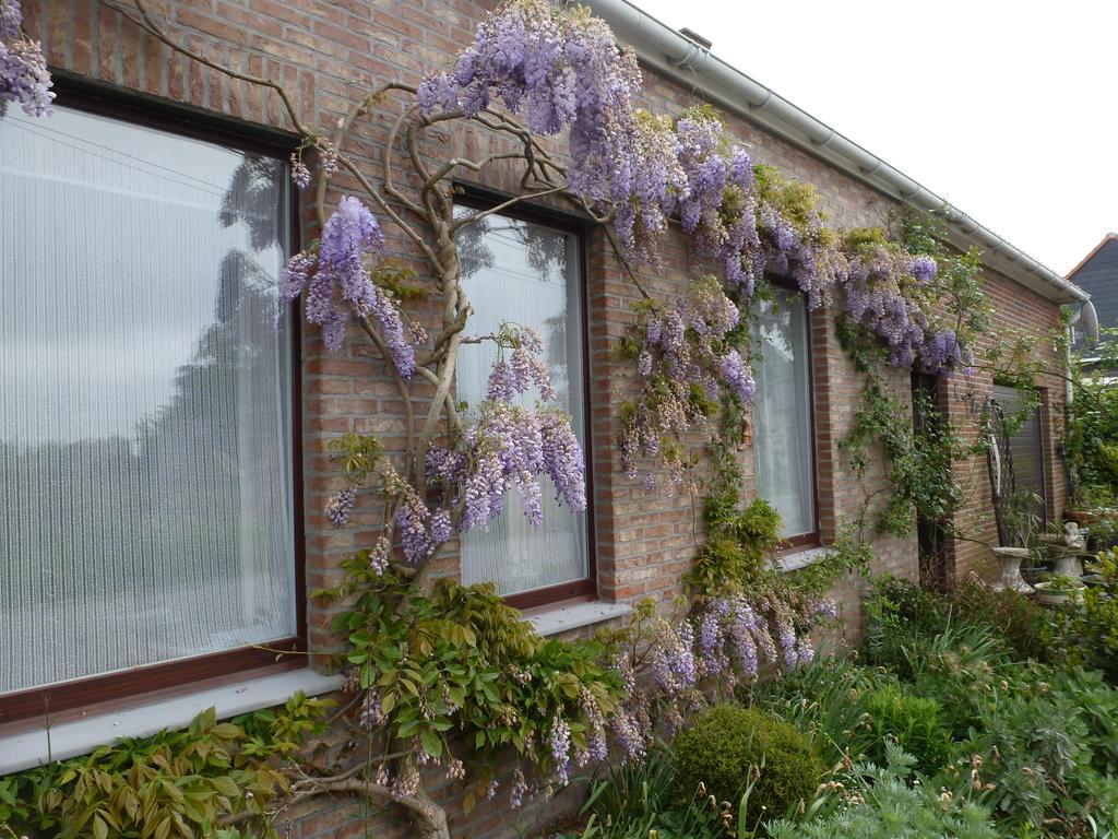 Guesthouse Kolibriehuys Nieuwkerke Экстерьер фото