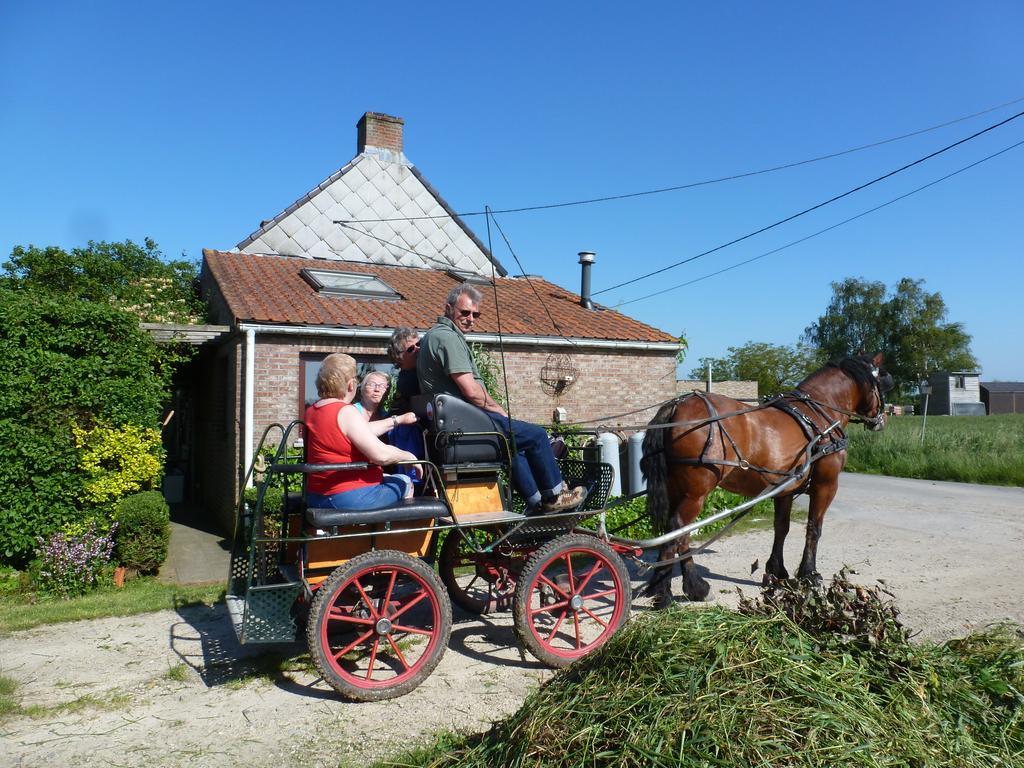 Guesthouse Kolibriehuys Nieuwkerke Экстерьер фото