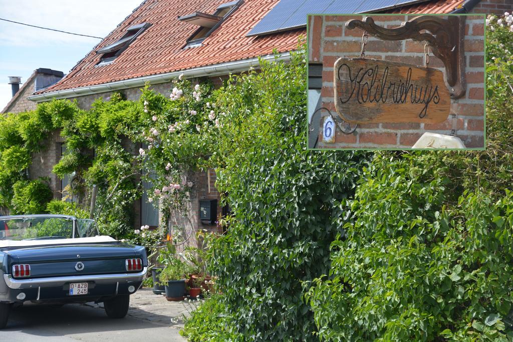 Guesthouse Kolibriehuys Nieuwkerke Экстерьер фото